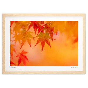 版画 橙彩紅葉 (bluewoods07)インテリア 壁掛け 額入り 風景画 ポスター アート リビング 玄関に飾る 風水 プレゼント モダン アートフレーム