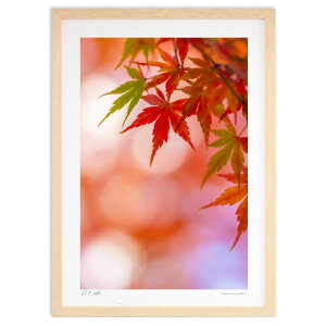 ŉ gʍgt (bluewoods07)CeA Ǌ| z i |X^[ A[g rO ւɏ  v[g _ A[gt[