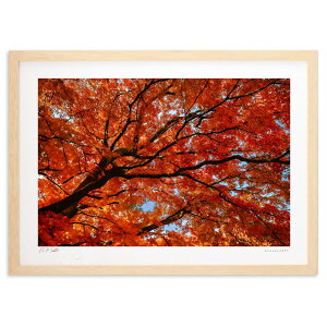 ŉ gؖLxgt (bluewoods07)CeA Ǌ| z i |X^[ A[g rO ւɏ  v[g _ A[gt[