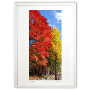 版画 暖かな色々 (sayu)インテリア 壁掛け 額入り 風景画 ポスター アート リビング 玄関に飾る 風水 プレゼント モダン アートフレーム