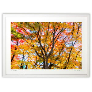 ŉ Fʍgt (bluewoods07)CeA Ǌ| z i |X^[ A[g rO ւɏ  v[g _ A[gt[