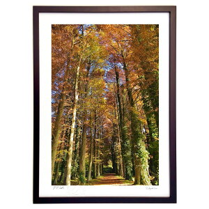 ŉ ^ZRCA̕ (mitan)CeA Ǌ| z i |X^[ A[g rO ւɏ  v[g _ A[gt[