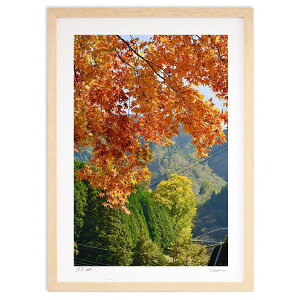 ŉ gtz̃rbOCG[ (mitan)CeA Ǌ| z i |X^[ A[g rO ւɏ  v[g _ A[gt[