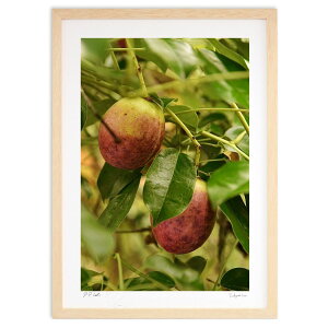 ŉ APr (mitan)CeA Ǌ| z i |X^[ A[g rO ւɏ  v[g _ A[gt[