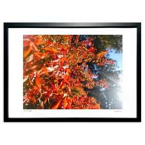 ŉ gt (ӂ)CeA Ǌ| z i |X^[ A[g rO ւɏ  v[g _ A[gt[