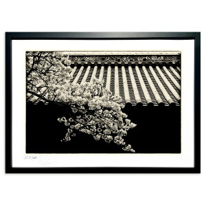 ŉ 퍑̍ (Tak)CeA Ǌ| z i |X^[ A[g rO ւɏ  v[g _ A[gt[