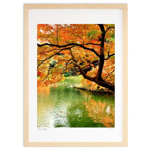 ŉ IWƗ (Rito)CeA Ǌ| z i |X^[ A[g rO ւɏ  v[g _ A[gt[