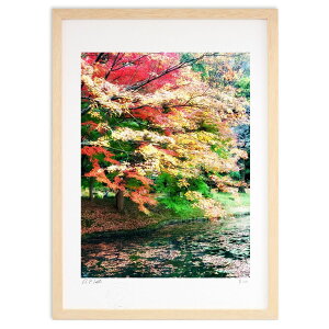 ŉ FƂǂ (Rito)CeA Ǌ| z i |X^[ A[g rO ւɏ  v[g _ A[gt[