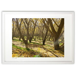 ŉ ǂ̖ (okiron)CeA Ǌ| z i |X^[ A[g rO ւɏ  v[g _ A[gt[