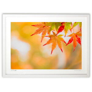 ŉ ʉgt (bluewoods07)CeA Ǌ| z i |X^[ A[g rO ւɏ  v[g _ A[gt[