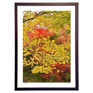 ŉ Ȗ͗l̏H (mitan)CeA Ǌ| z i |X^[ A[g rO ւɏ  v[g _ A[gt[