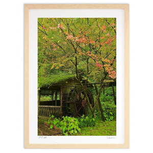 版画 水車小屋の紅葉 (mitan)インテリア 壁掛け 額入り 風景画 ポスター アート リビング 玄関に飾る 風水 プレゼント モダン アートフレーム