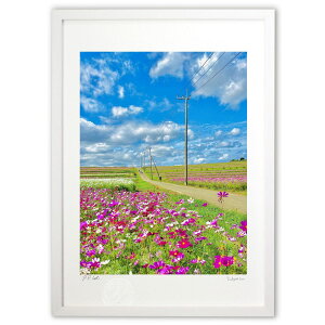 ŉ Icւ̍⓹ (mitan)CeA Ǌ| z i |X^[ A[g rO ւɏ  v[g _ A[gt[