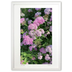 版画 シモツケの花(縦) (mitan)インテリア 壁掛け 額入り 風景画 ポスター アート リビング 玄関に飾る 風水 プレゼント モダン アートフレーム