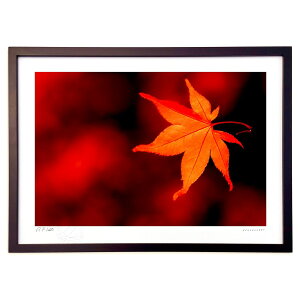 ŉ gFgt (bluewoods07)CeA Ǌ| z i |X^[ A[g rO ւɏ  v[g _ A[gt[