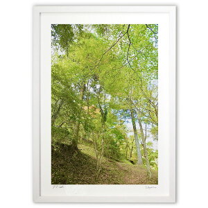 版画 爽やかな森 (mitan)インテリア 壁掛け 額入り 風景画 ポスター アート リビング 玄関に飾る 風水 プレゼント モダン アートフレーム