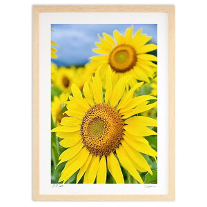 ŉ ĤЂ܂ (mitan)CeA Ǌ| z i |X^[ A[g rO ւɏ  v[g _ A[gt[