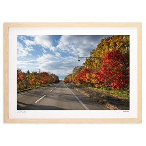 ŉ gtʂ ( )CeA Ǌ| z i |X^[ A[g rO ւɏ  v[g _ A[gt[