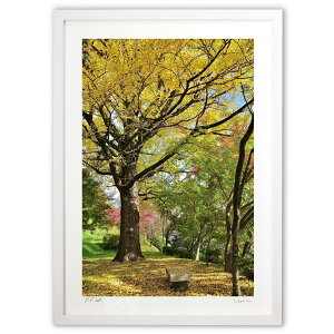 版画 木の下のベンチ (mitan)インテリア 壁掛け 額入り 風景画 ポスター アート リビング 玄関に飾る 風水 プレゼント モダン アートフレーム