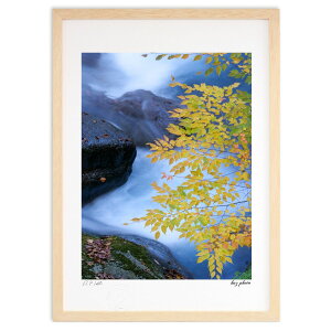 ŉ ƍgt (kaz photo)CeA Ǌ| z i |X^[ A[g rO ւɏ  v[g _ A[gt[