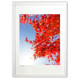 ŉ H̋P (DJ)CeA Ǌ| z i |X^[ A[g rO ւɏ  v[g _ A[gt[