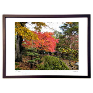 ŉ HTɁEEEB (Xm[oj)CeA Ǌ| z i |X^[ A[g rO ւɏ  v[g _ A[gt[