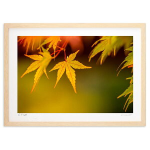 ŉ Fgt (bluewoods07)CeA Ǌ| z i |X^[ A[g rO ւɏ  v[g _ A[gt[