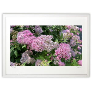 ŉ VcP̉ (mitan)CeA Ǌ| z i |X^[ A[g rO ւɏ  v[g _ A[gt[