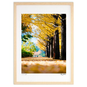 ŉ C`E̖ (kaz photo)CeA Ǌ| z i |X^[ A[g rO ւɏ  v[g _ A[gt[