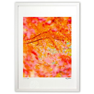 ŉ gt (kaz photo)CeA Ǌ| z i |X^[ A[g rO ւɏ  v[g _ A[gt[