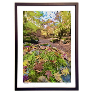 yƂ̍izۂނɂ̗tkJɏH̃V[Y񂹂&