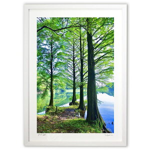 ŉ ΔȂ̃^ZRCA (mitan)CeA Ǌ| z i |X^[ A[g rO ւɏ  v[g _ A[gt[