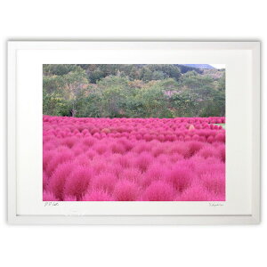 ŉ sNO~ (RUI)CeA Ǌ| z i |X^[ A[g rO ւɏ  v[g _ A[gt[