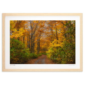 ŉ gt̎UH (bluewoods07)CeA Ǌ| z i |X^[ A[g rO ւɏ  v[g _ A[gt[