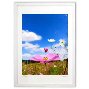 ŉ ݂ (ӂ)CeA Ǌ| z i |X^[ A[g rO ւɏ  v[g _ A[gt[