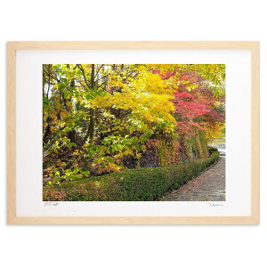 ŉ gtij (Xm[oj)CeA Ǌ| z i |X^[ A[g rO ւɏ  v[g _ A[gt[