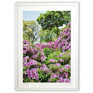 ŉ J (mitan)CeA Ǌ| z i |X^[ A[g rO ւɏ  v[g _ A[gt[