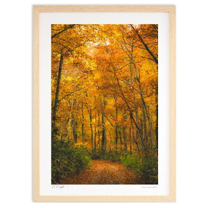 ŉ яH (bluewoods07)CeA Ǌ| z i |X^[ A[g rO ւɏ  v[g _ A[gt[