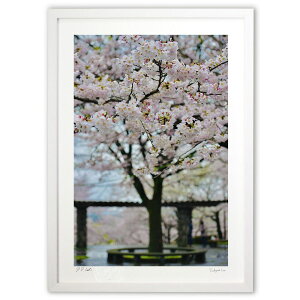 ŉ Jオ̍ (mitan)CeA Ǌ| z i |X^[ A[g rO ւɏ  v[g _ A[gt[