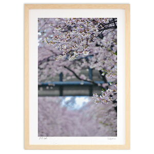 ŉ W̍ (mitan)CeA Ǌ| z i |X^[ A[g rO ւɏ  v[g _ A[gt[