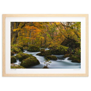 ŉ ̏HiF (bluewoods07)CeA Ǌ| z i |X^[ A[g rO ւɏ  v[g _ A[gt[