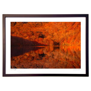 ŉ Ӑԏ̏HĂ (bluewoods07)CeA Ǌ| z i |X^[ A[g rO ւɏ  v[g _ A[gt[