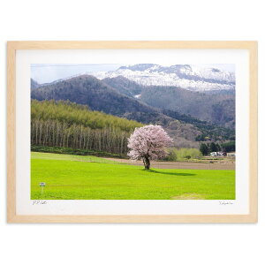 ŉ 䗿̈{ (toshi_hokkaido)