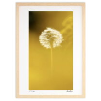 楽天市場】たんぽぽ 絵（アート・美術品・骨董品・民芸品｜ホビー）の通販
