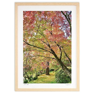 ŉ gt̍ד (mitan)CeA Ǌ| z i |X^[ A[g rO ւɏ  v[g _ A[gt[