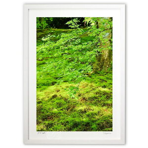 ŉ ؘR (mitan)CeA Ǌ| z i |X^[ A[g rO ւɏ  v[g _ A[gt[