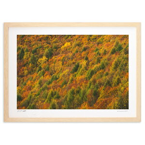 ŉ HR率g (bluewoods07)CeA Ǌ| z i |X^[ A[g rO ւɏ  v[g _ A[gt[