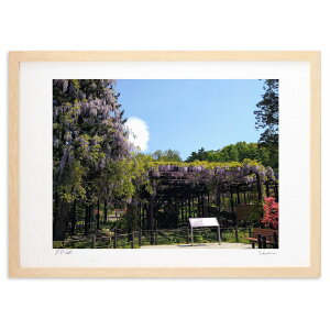 ŉ V_ (Xm[oj)CeA Ǌ| z i |X^[ A[g rO ւɏ  v[g _ A[gt[