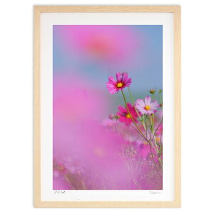 ŉ H̃RXX (h)CeA Ǌ| z i |X^[ A[g rO ւɏ  v[g _ A[gt[