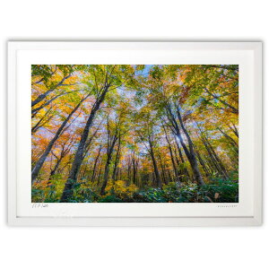 ŉ яHX (bluewoods07)CeA Ǌ| z i |X^[ A[g rO ւɏ  v[g _ A[gt[